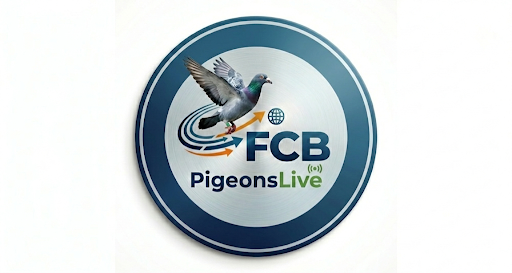 FCBPigeonsLive